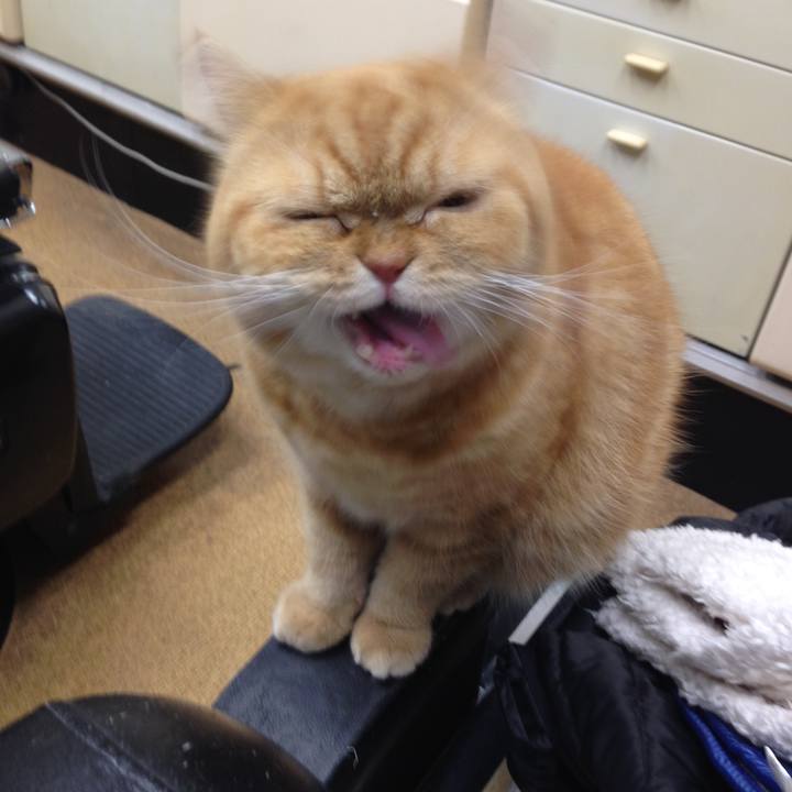 B7ee4cd7 b486 4d37 90ea b1eced14e8ba