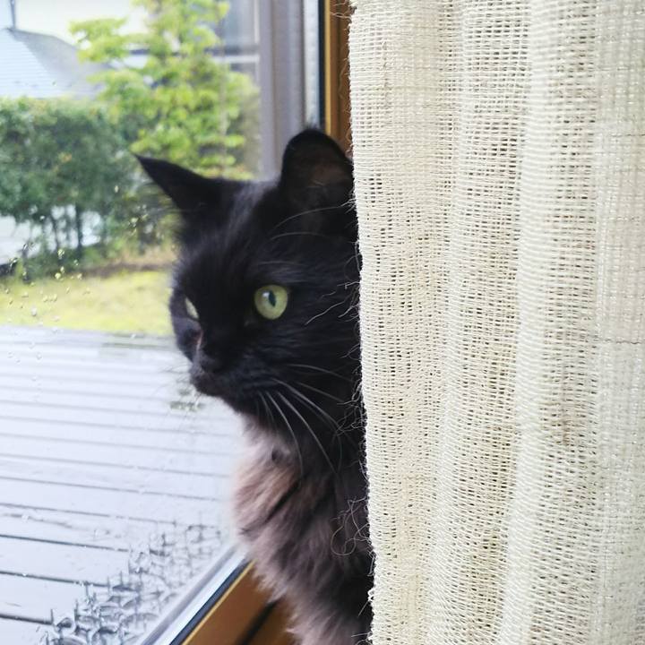 B7ee7924 c783 4bba 9986 20eb6c8e7d87