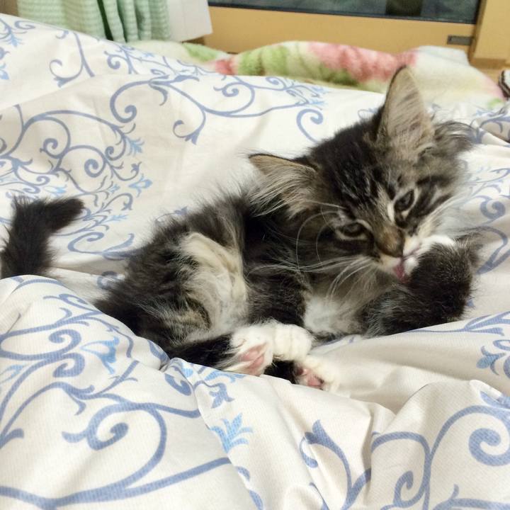 B7eec868 37d7 4b4f 8e0f fd0c5bf364e3