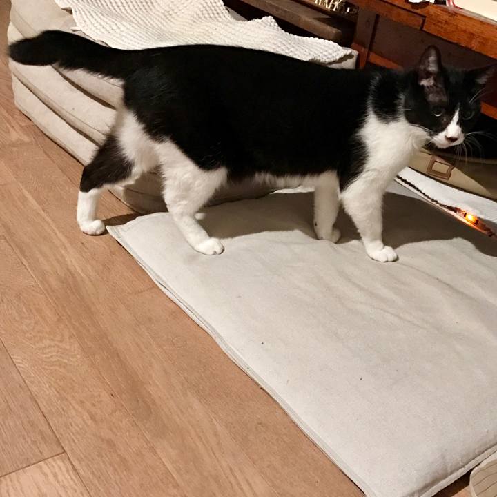 B7eeddbe 8f70 4da8 884b f2fab8d448c0