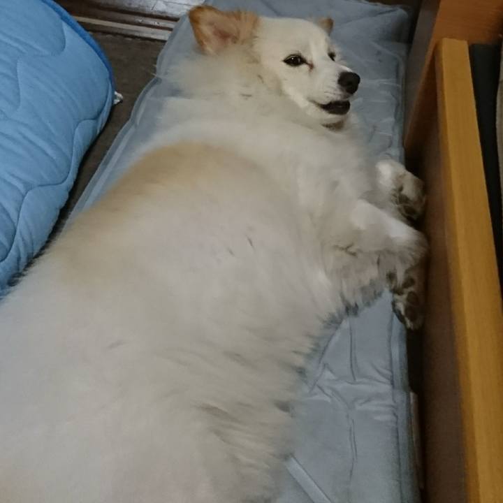 B7ef1972 32da 4e04 b4d1 82e869cc6d7b