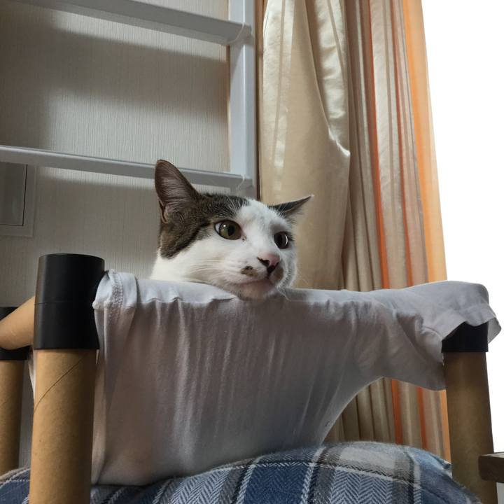 B7ef24b3 5428 4553 9b6e 2cba1db83e12