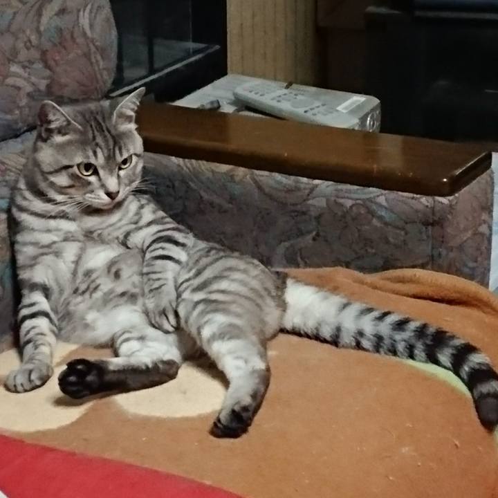 B7ef6f52 ac4a 4815 beb1 a483f6f8871c