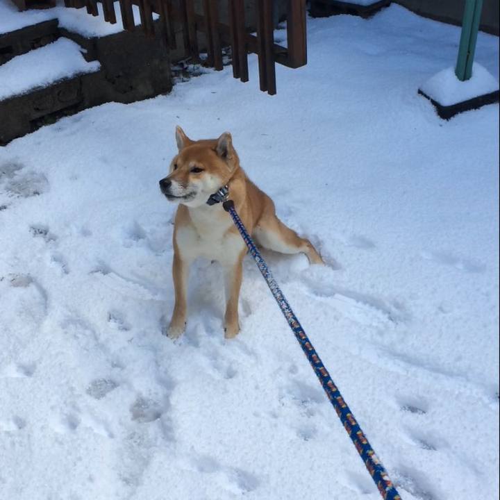 B7efb03a 8e88 49f9 9957 5b09d2838fe5