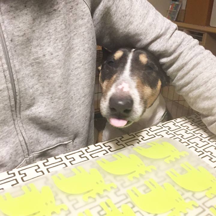 B7efdec8 2371 45dd b3f0 b96eb1b3cd35