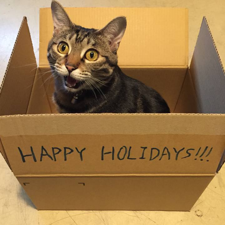 B7f02845 5591 4b32 95fd 5e79df302c09