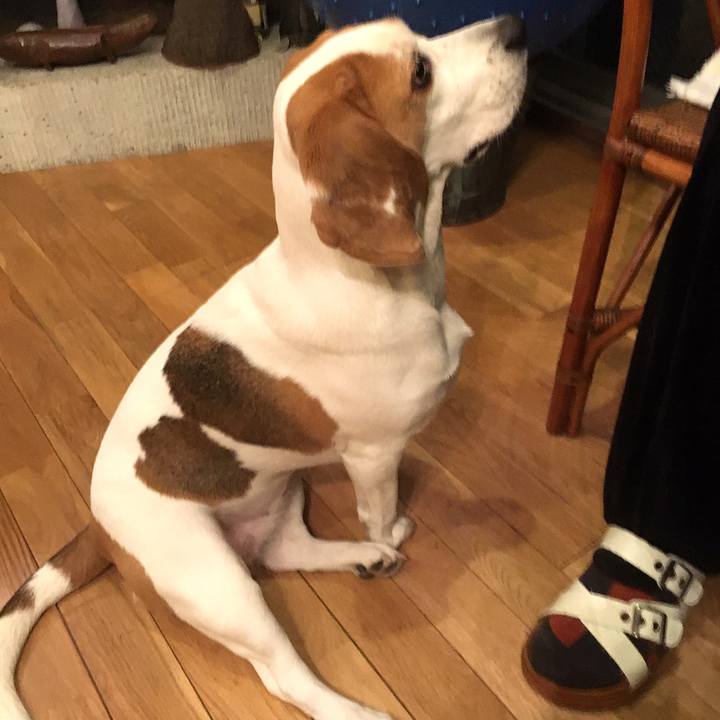 B7f03daa ae49 48a5 bd74 da7cb8fc0386