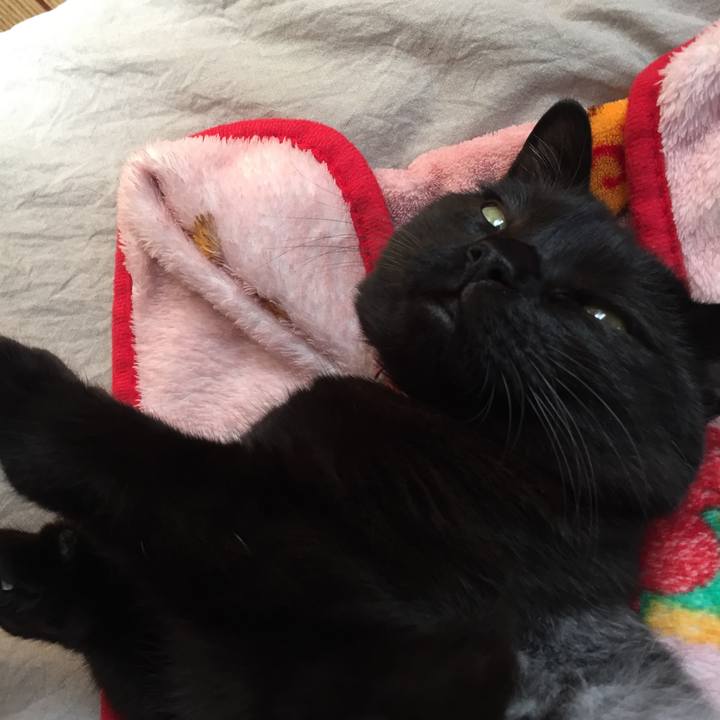 B7f07646 0382 451a aa04 fe31449f53f7