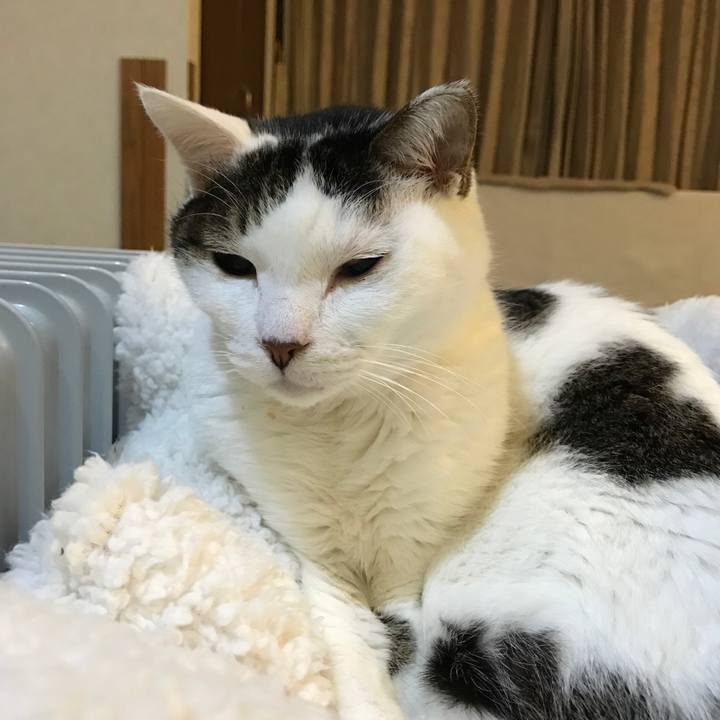 B7f19a53 8791 4ff9 a038 d1765dedccac