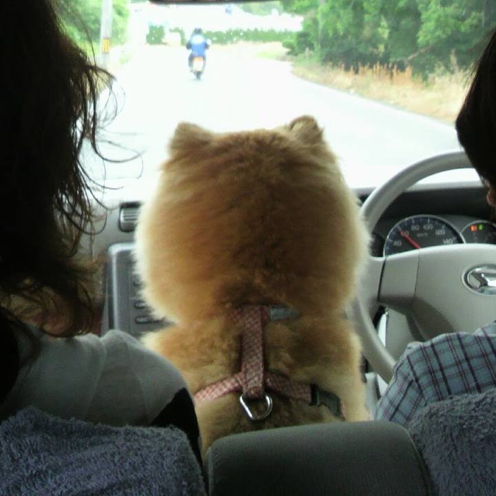 B7f1c43c 8074 4be8 897d 901eedfa9119