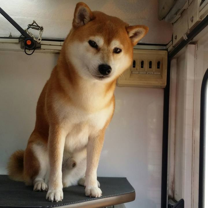 B7f2e0d7 f34c 4cb5 9c9e 14b83a00ab25