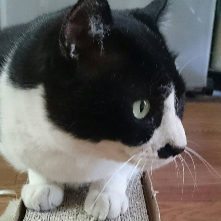 B7f47e7c c9fd 4730 ad3e bc8fec64925e