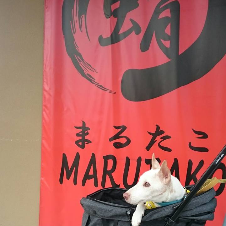 B7f5464f 55fe 4374 b8d4 a3cf36bc05ab