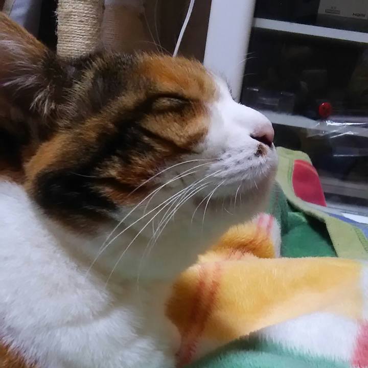 B7f5b204 bf49 43f5 8e7c c706697b45c8