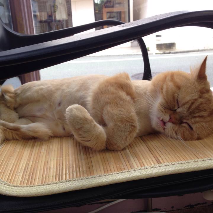 B7f65cab 2570 447a b7a3 2fa2ded77e49