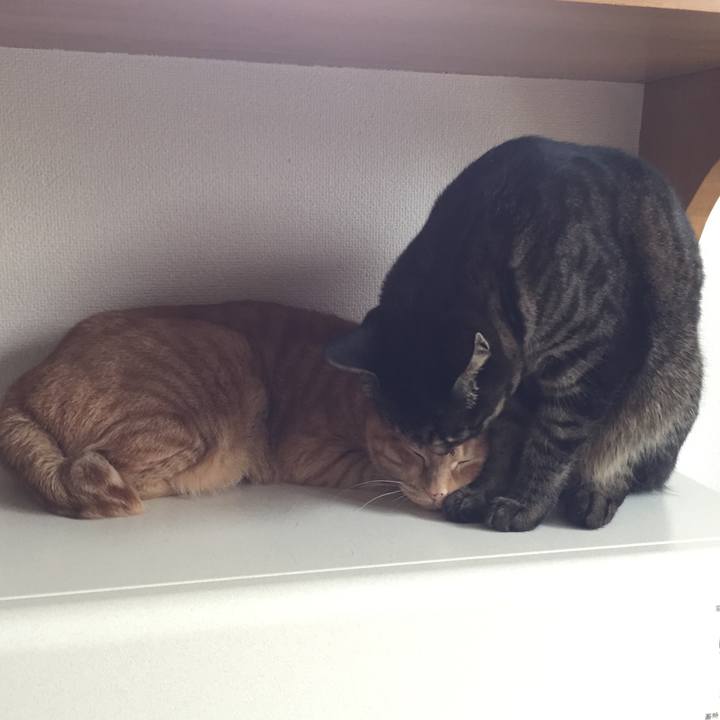 B7f70e3c 42a6 46d8 bb3e 50ac627af84b