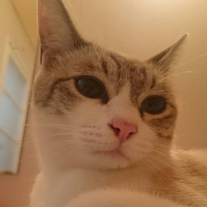 B7f763b1 754c 454f bc7b 577ee2b288f9