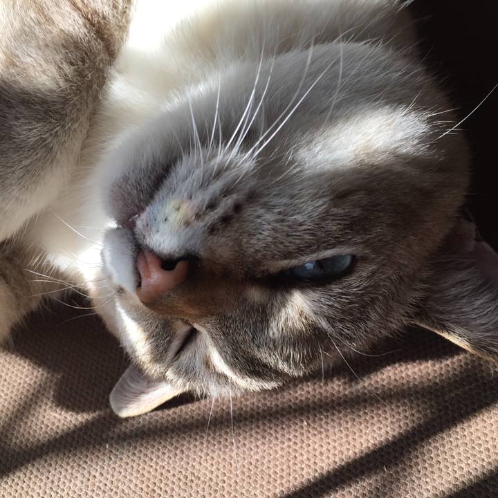 B7f7e1c4 583a 4c1f a7c9 6169470eb4bd