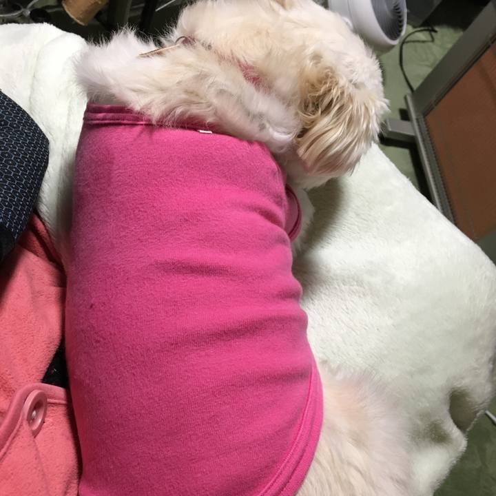 B7f83d3a 6bbb 4926 8a74 7ef680cb3fca