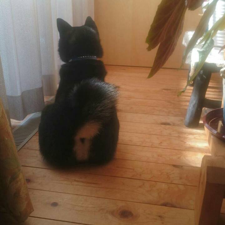 B7f86588 e295 4878 8a5c 79c7d5e6ba16