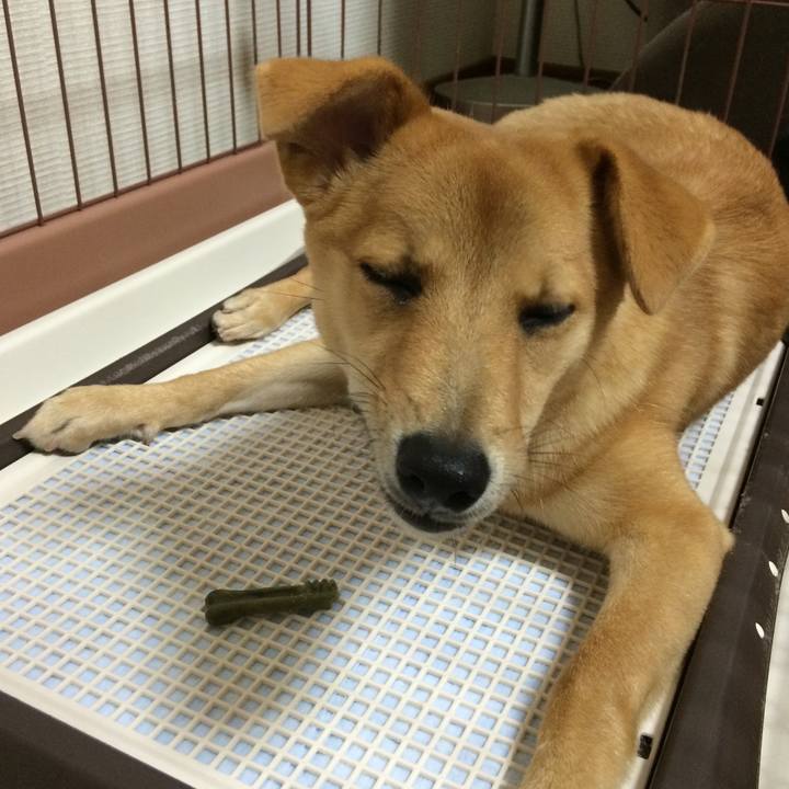 B7f87324 72d0 4d12 90d6 2c0f0cae89ac