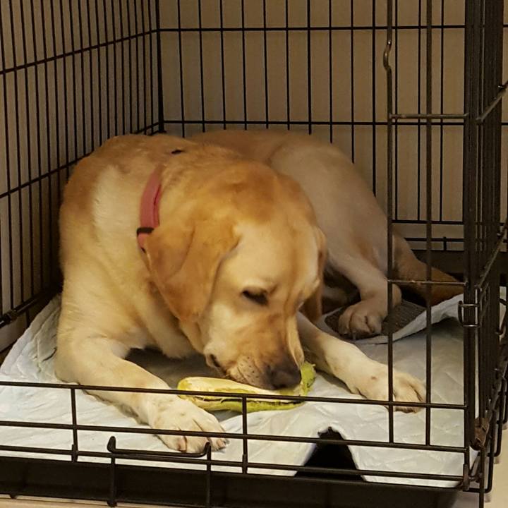 B7f88b57 e5ec 40a1 859c bb82e19d6fbd