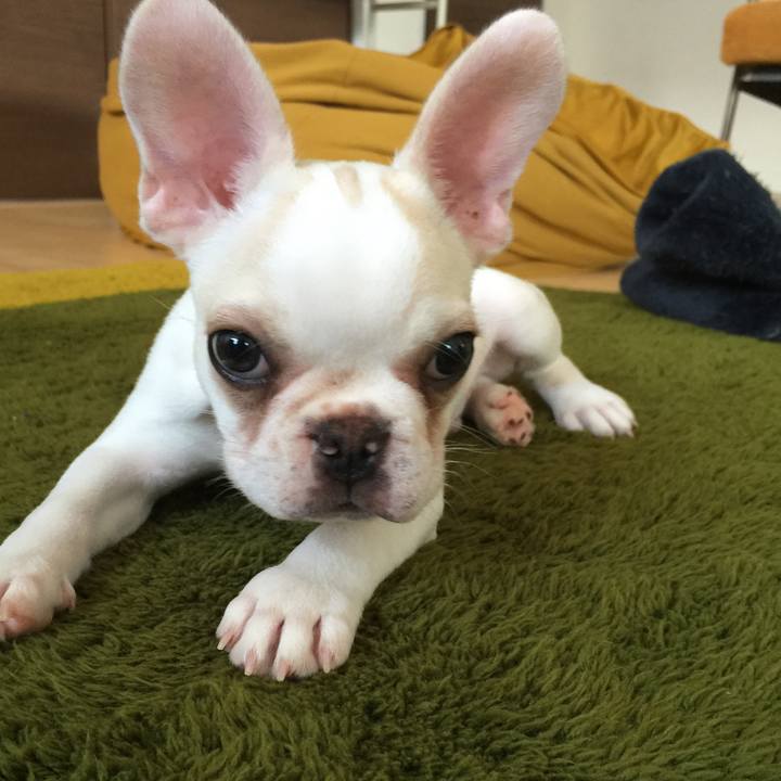 B7f8d962 05a6 4aab a59e 8229a46c6118