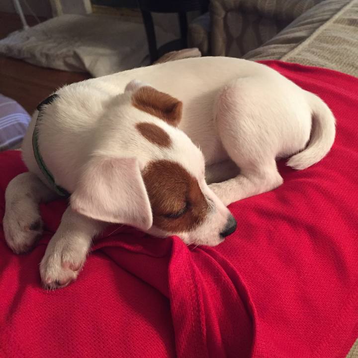 B7f90b82 3000 41e6 af40 6f689d7a2de9