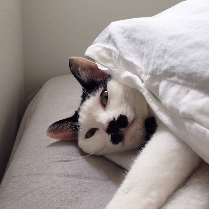 B7f911d4 d6a2 402b a74b b13cd66e45e1