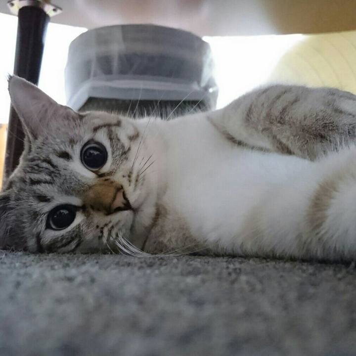 B7f9164d ef04 4c9a a4bf 5d9419fff89a