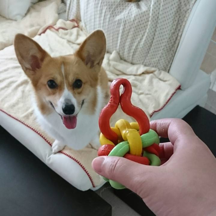 B7f920e7 fa9d 4e74 b725 bb98ea631bbf