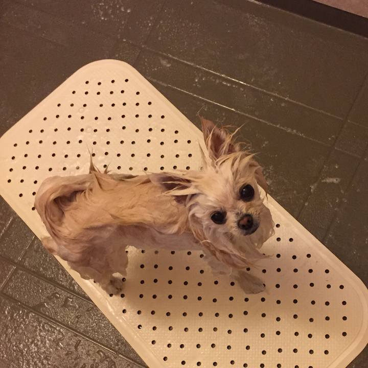 B7f93974 95a3 44da 8e12 dc9e95f89cdf