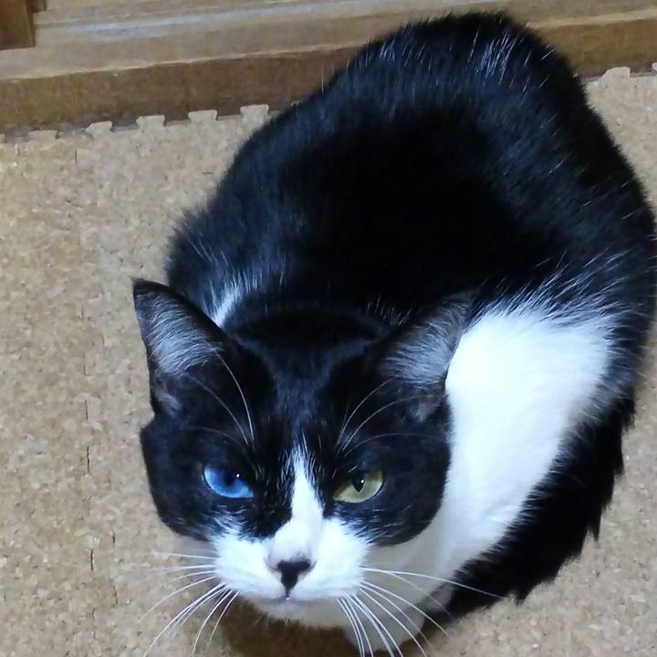 B7f94d7b ed91 4fd4 91ec 3051fad84428