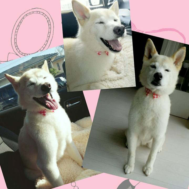 B7faa6cd 79bb 4ada bb5e fe30f5d820cf