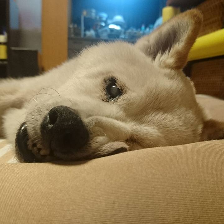 B7fad45e 8b49 406e b378 0f368f0a834d