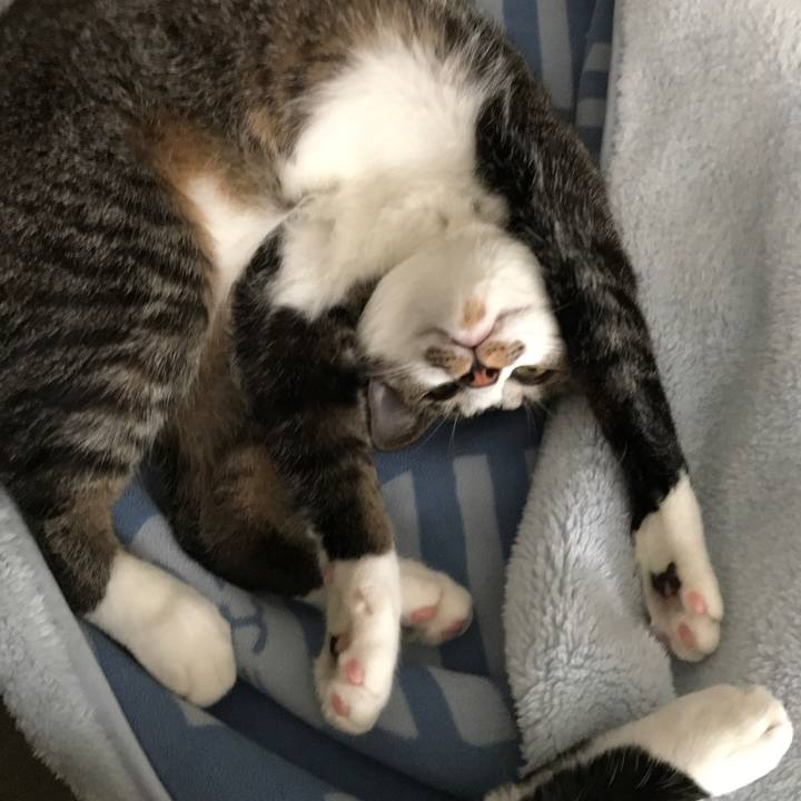 B7fb3312 fcaf 4d76 8be3 72186f1edbc8