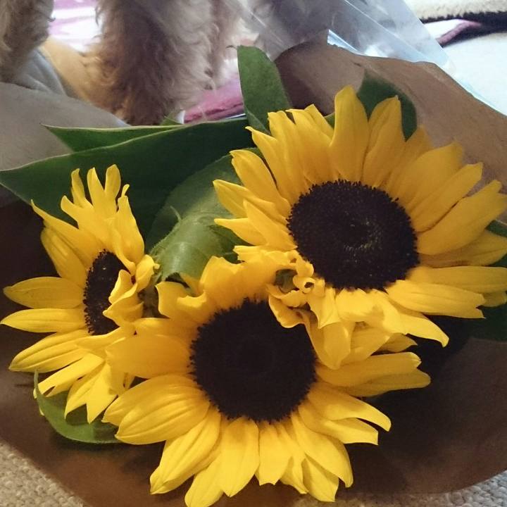 B7fb9f90 7585 4a26 ab4e 63ad9c7ca680