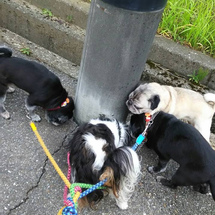 B7fba4d7 81fa 49ee 8375 4a1a2c18ca76