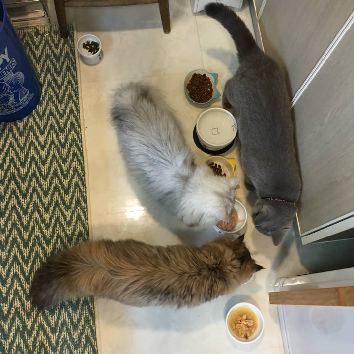 B7fc1a9a d6d4 4d92 999e b4db659228b3