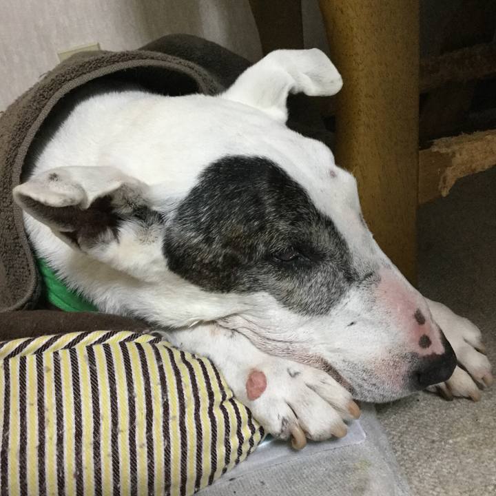 B7fc5ec8 3c77 43d1 ac54 911d99143900