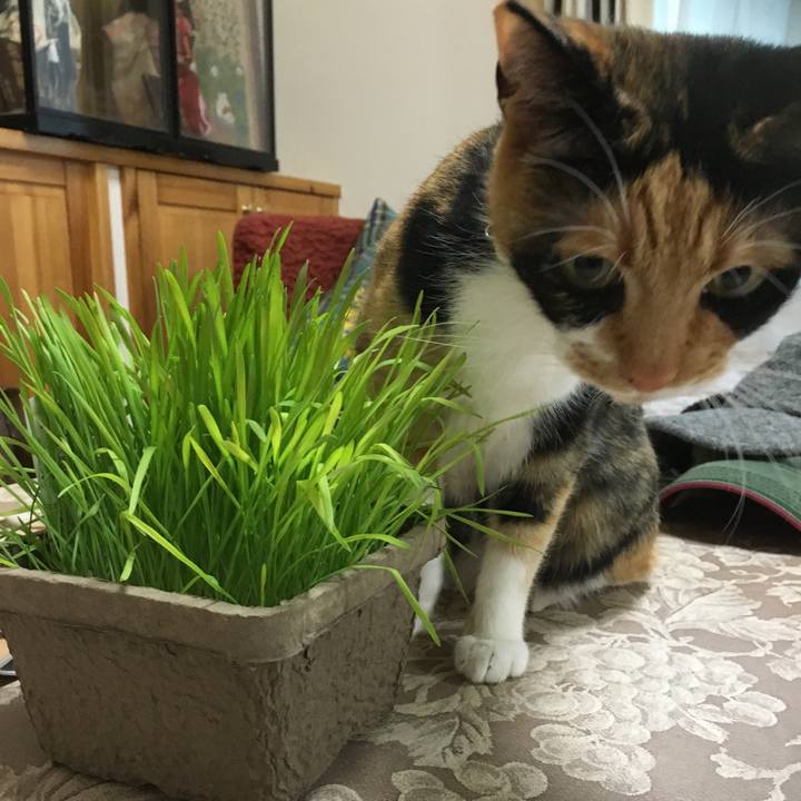 B7fd0670 9a3d 4057 bc16 bb0dd311109a