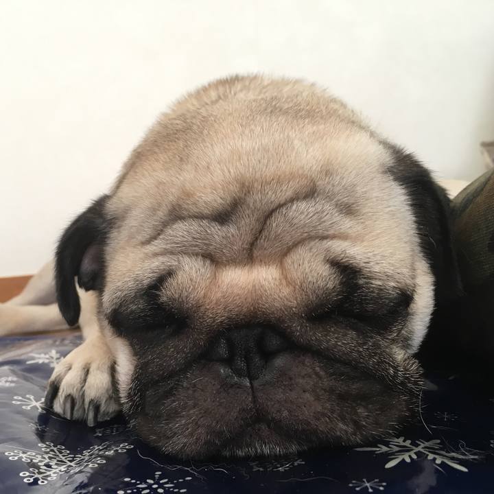 B7fd43c4 85b1 4017 be54 c4fc13d31432