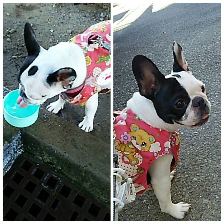 B7fd532e 80ff 4b65 a22d 7e3ab98da3db