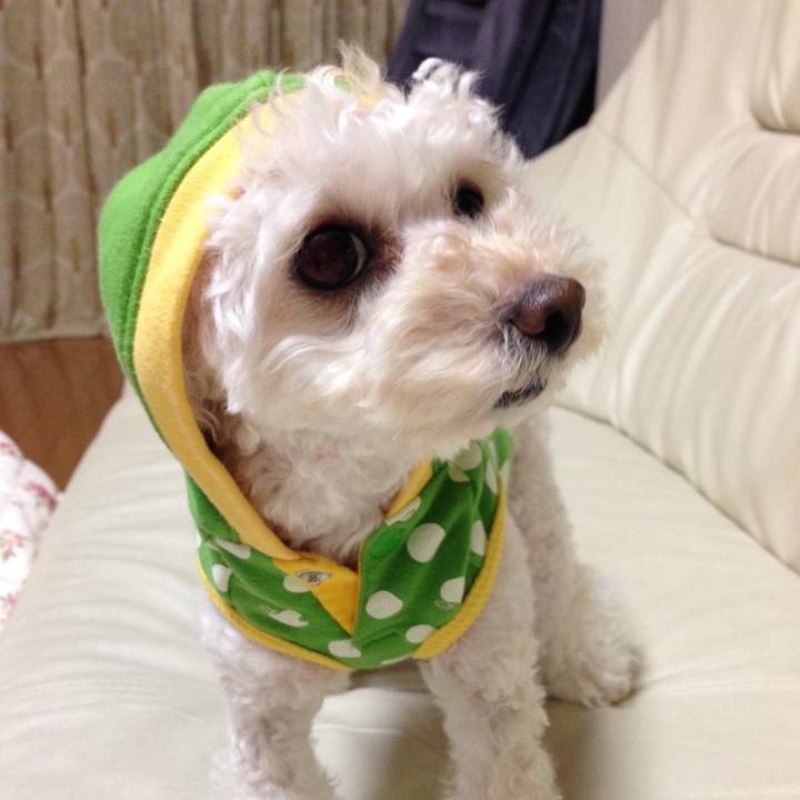 B7fe0de8 179a 445c 839d e547ec4128a7