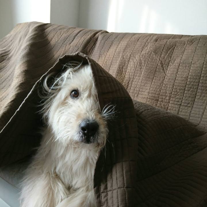 B7feb653 e6fe 4f55 83b2 27ee69988229