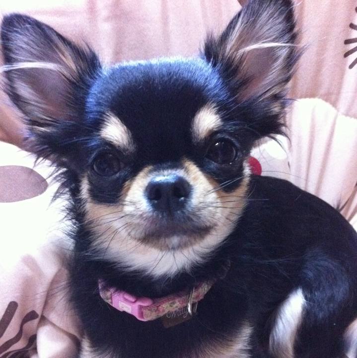 B7fec96a 3398 4c39 a768 cd34c07059a9