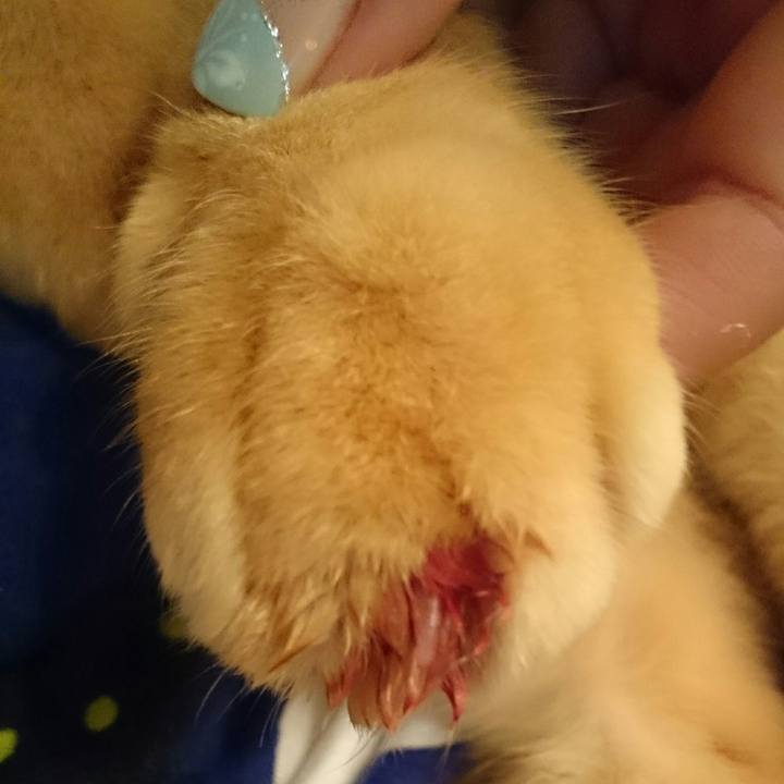 B7ff0477 314a 4760 98ca 2c07a24ef823