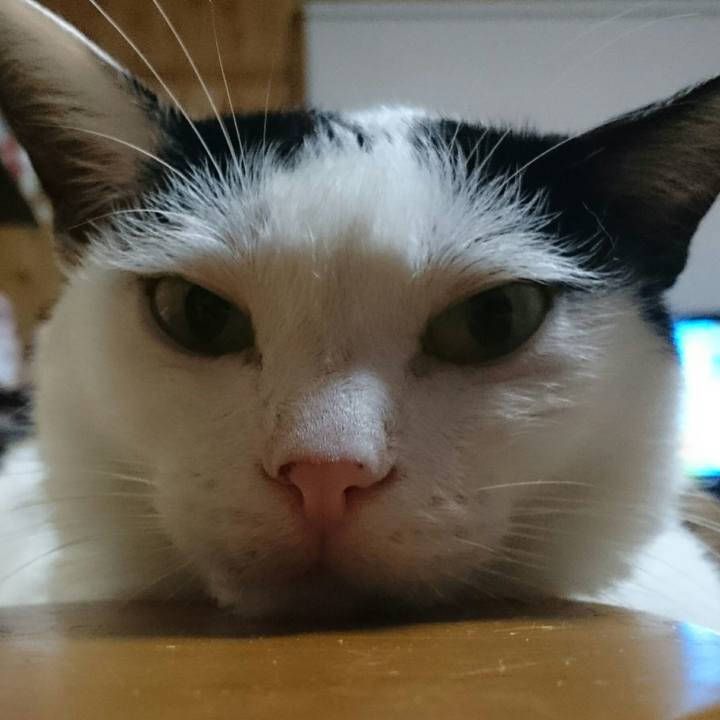 B7ff161e dae0 4bc1 afff 58fa4e04d912