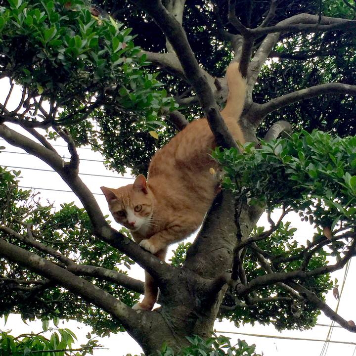 B7fff52c 6729 422b 8a56 31ff972c8f9d