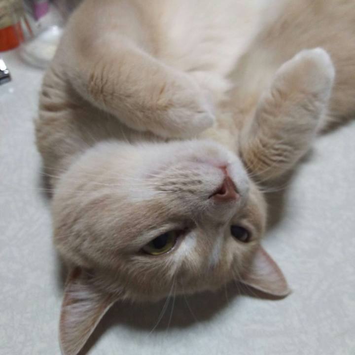 B80036e3 a0af 431a 81d1 09353e796776